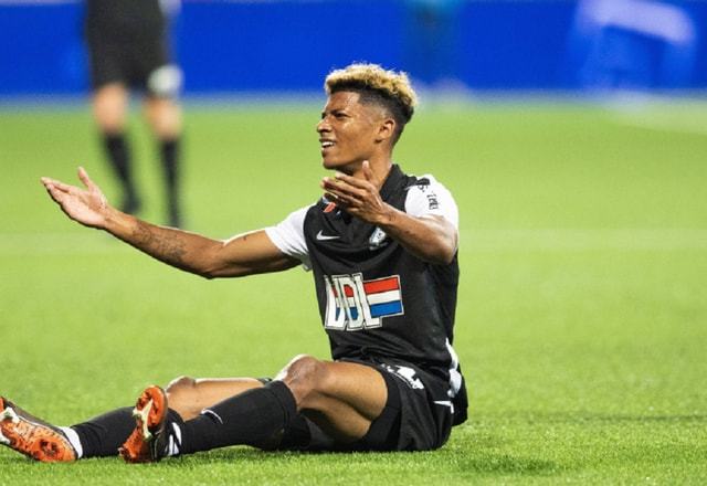 他们在赛季 他们在赛季